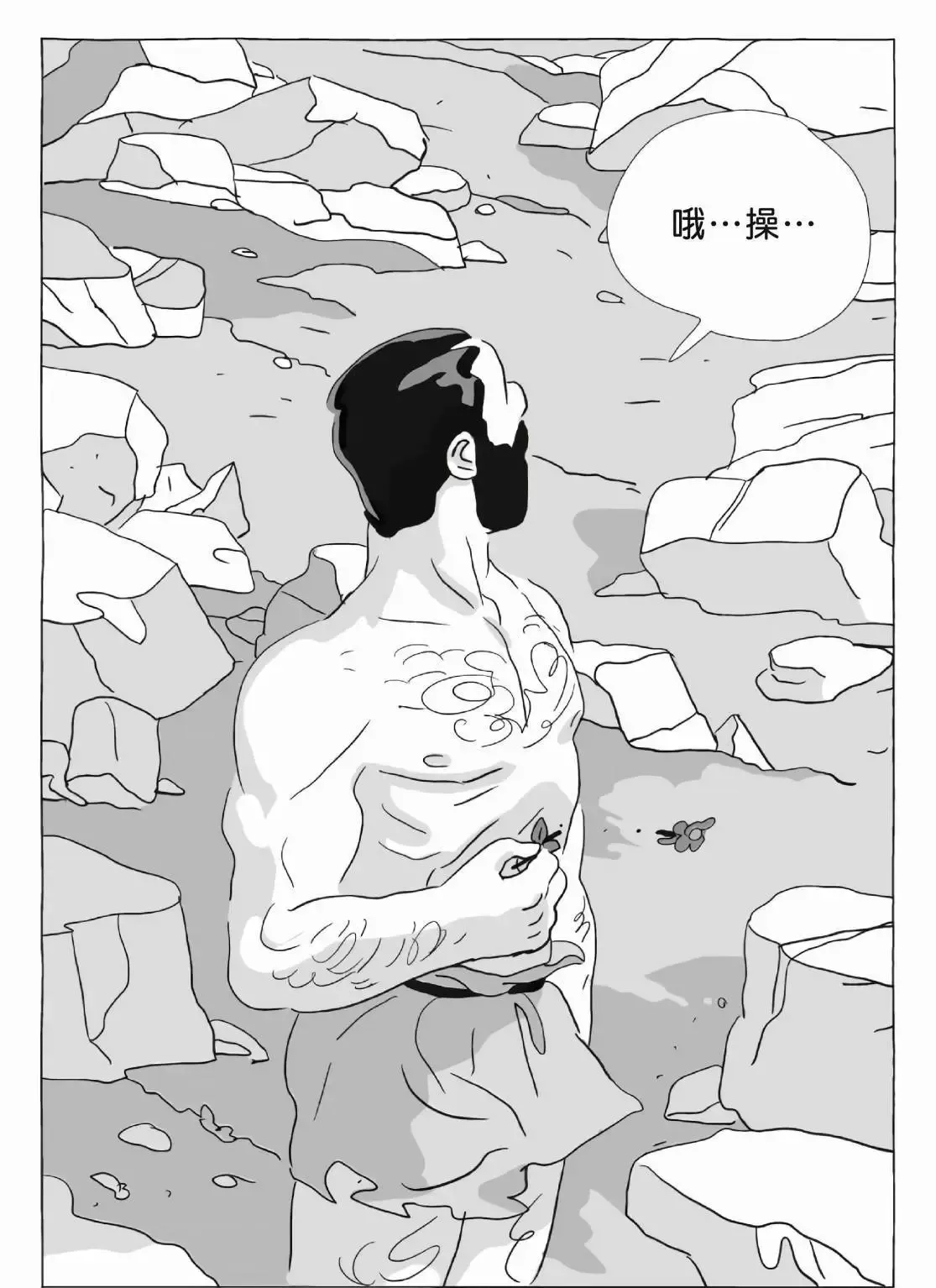 第12卷 第221页