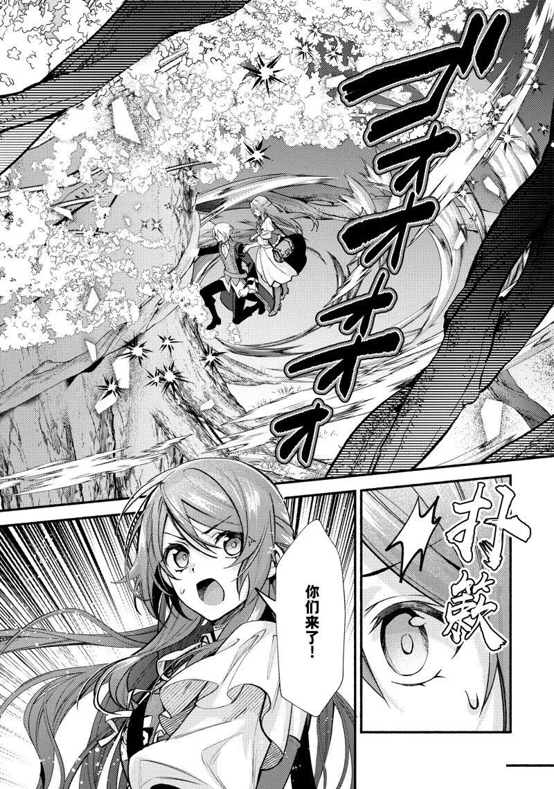 29 第25页