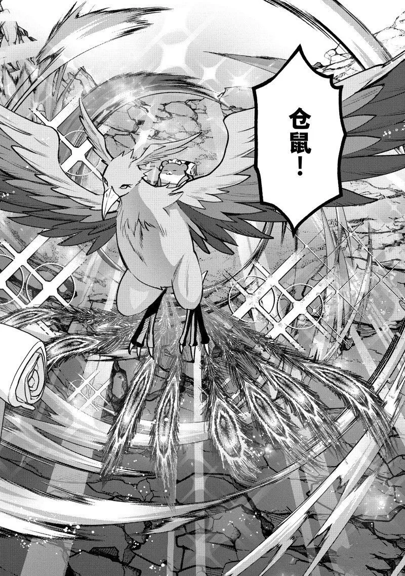 29 第26页