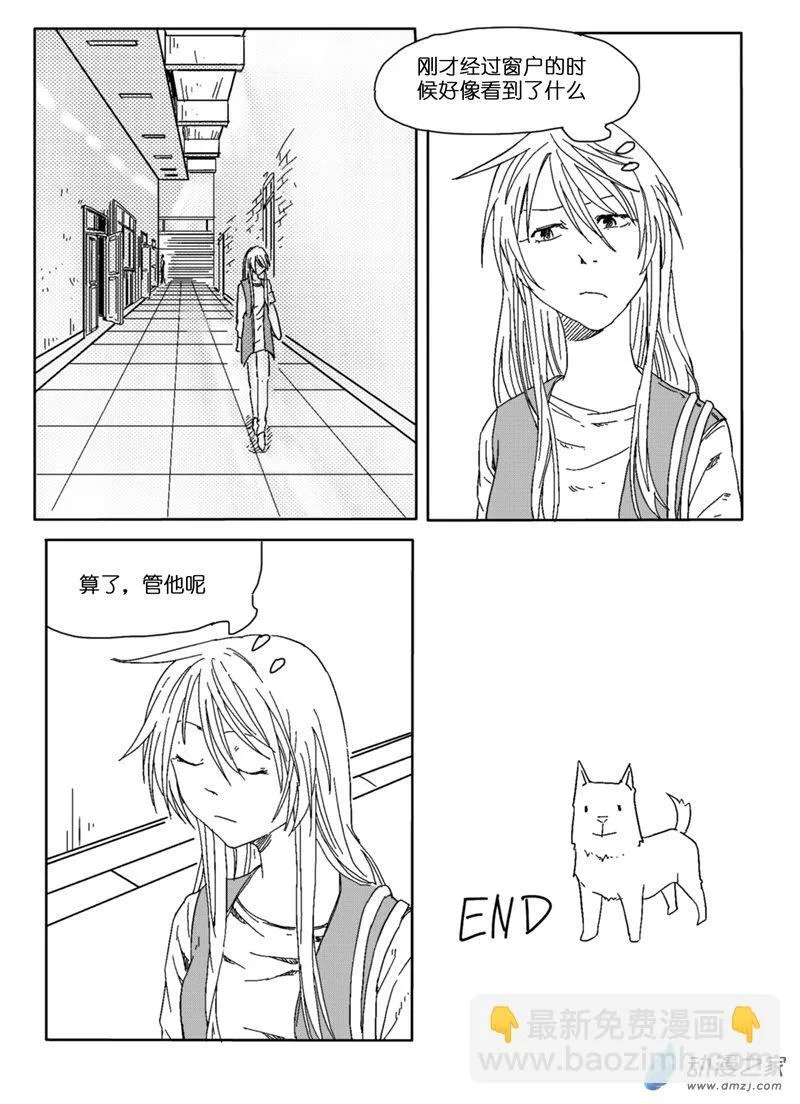 41 第6页