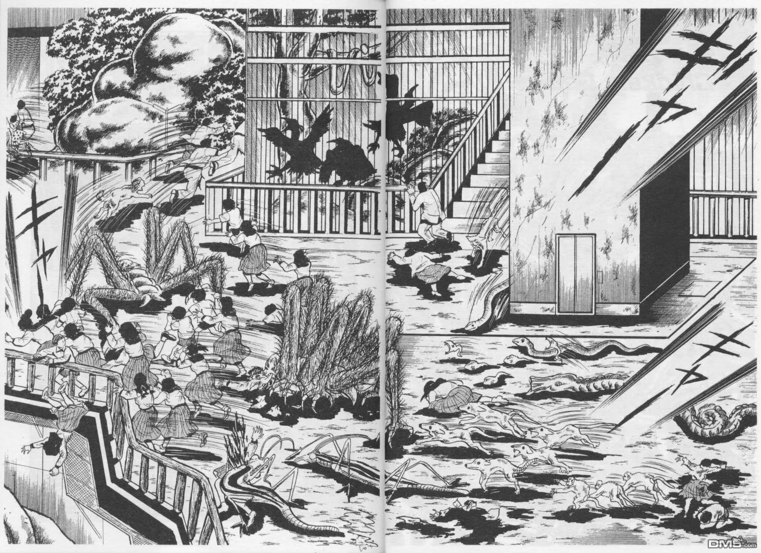 第2卷 第53页
