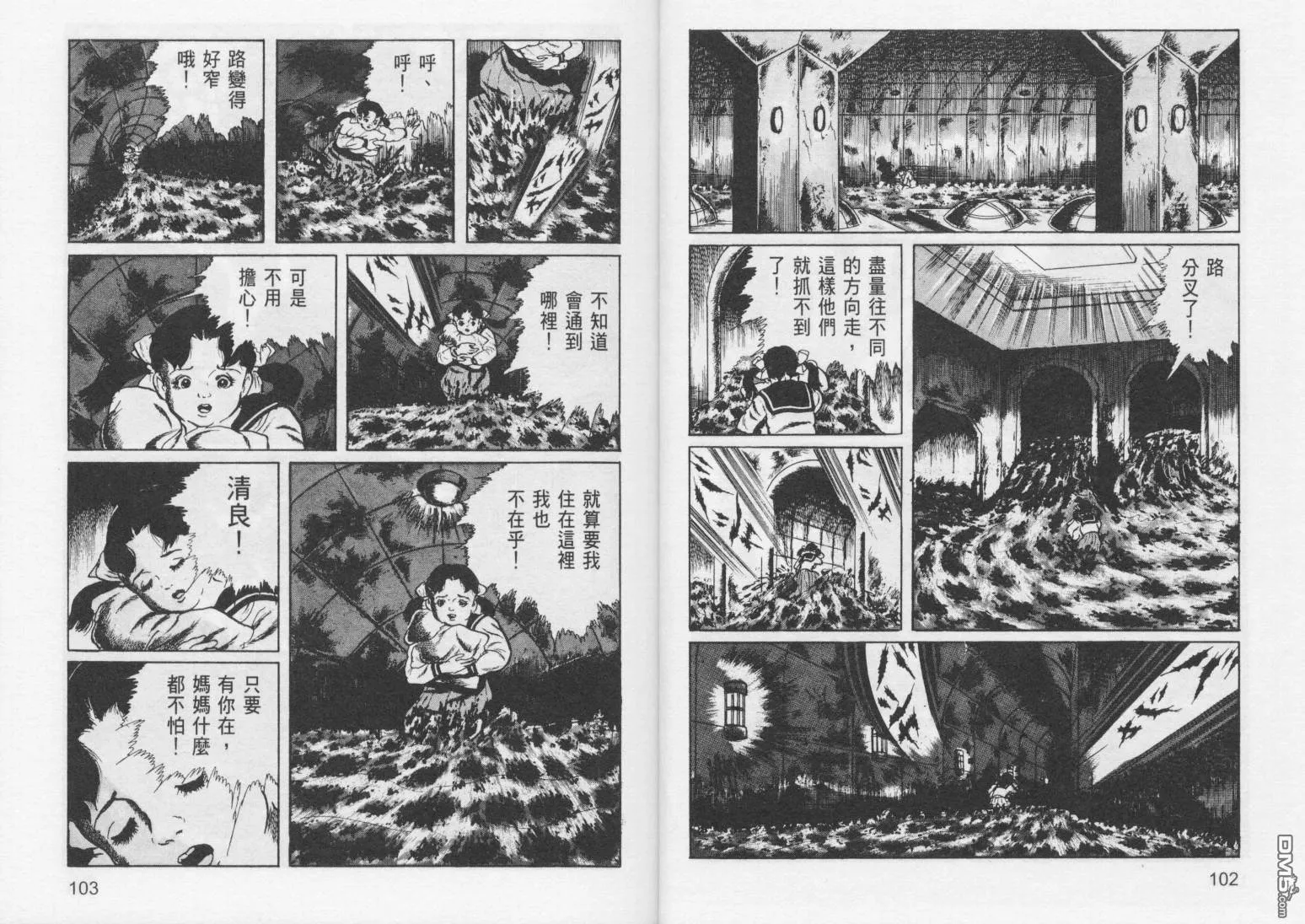 第7卷 第54页
