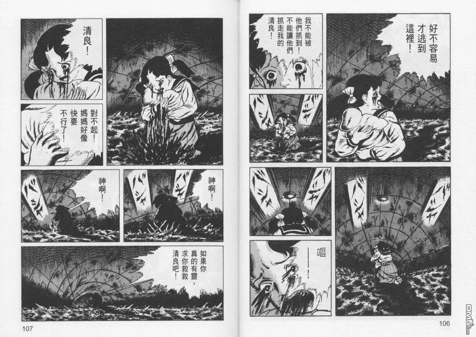 第7卷 第56页
