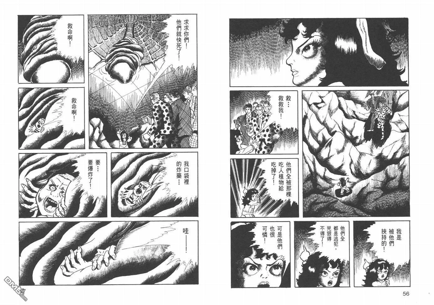 第21卷 第31页