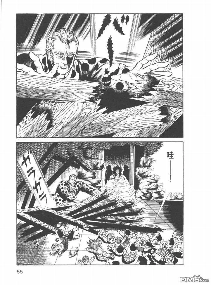 第22卷 第52页