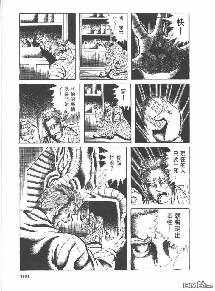 第22卷 第106页