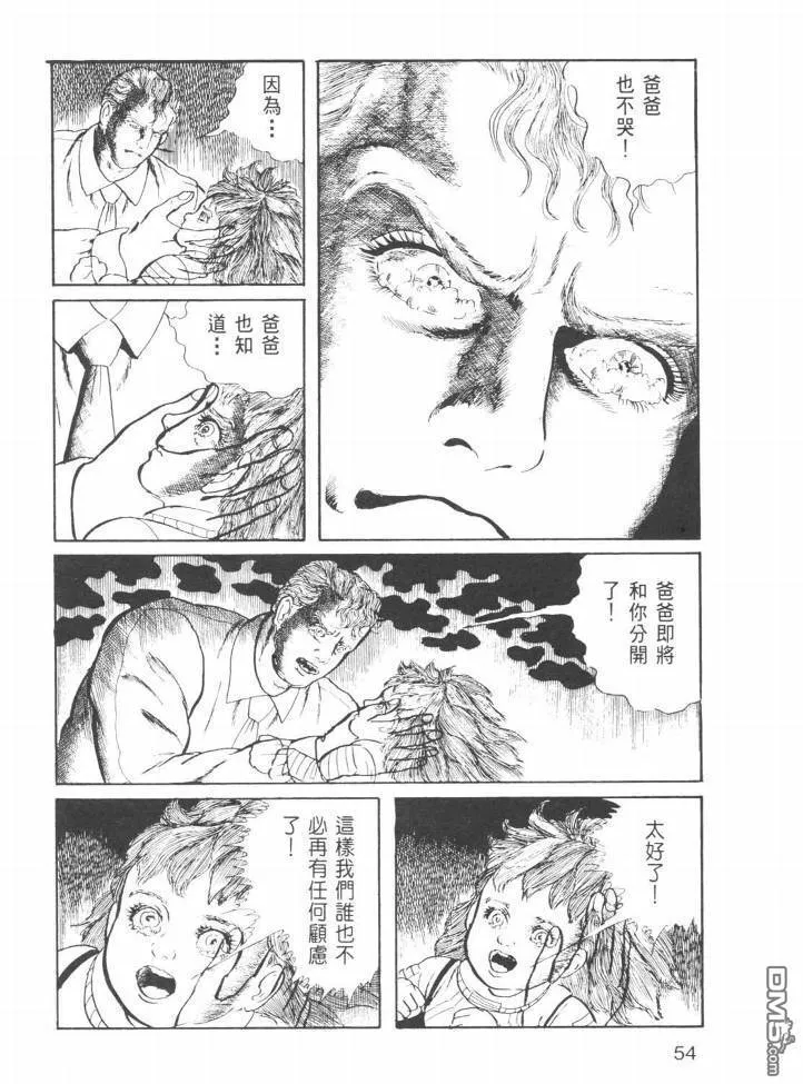 第23卷 第51页