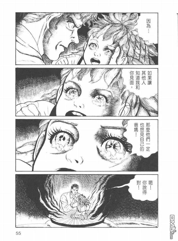 第23卷 第52页