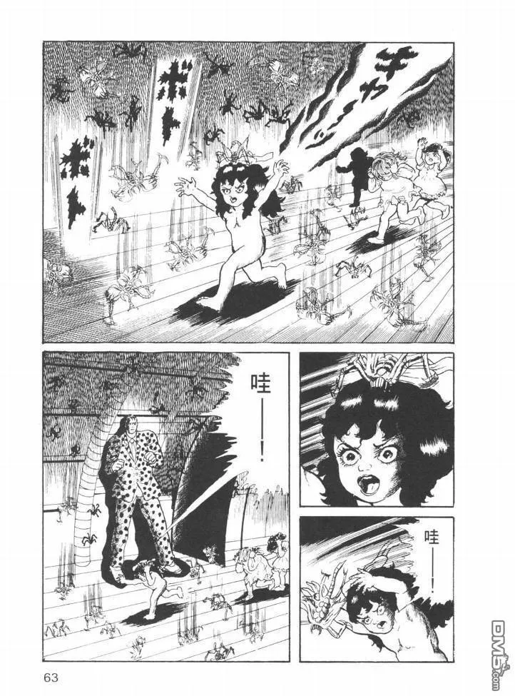 第23卷 第60页