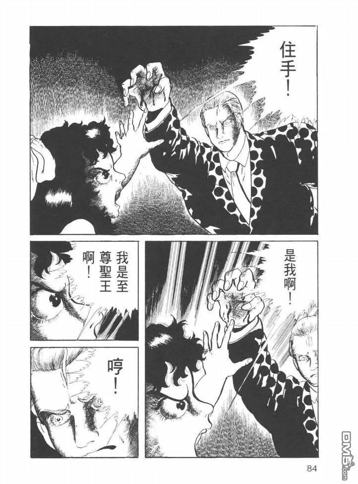 第23卷 第81页