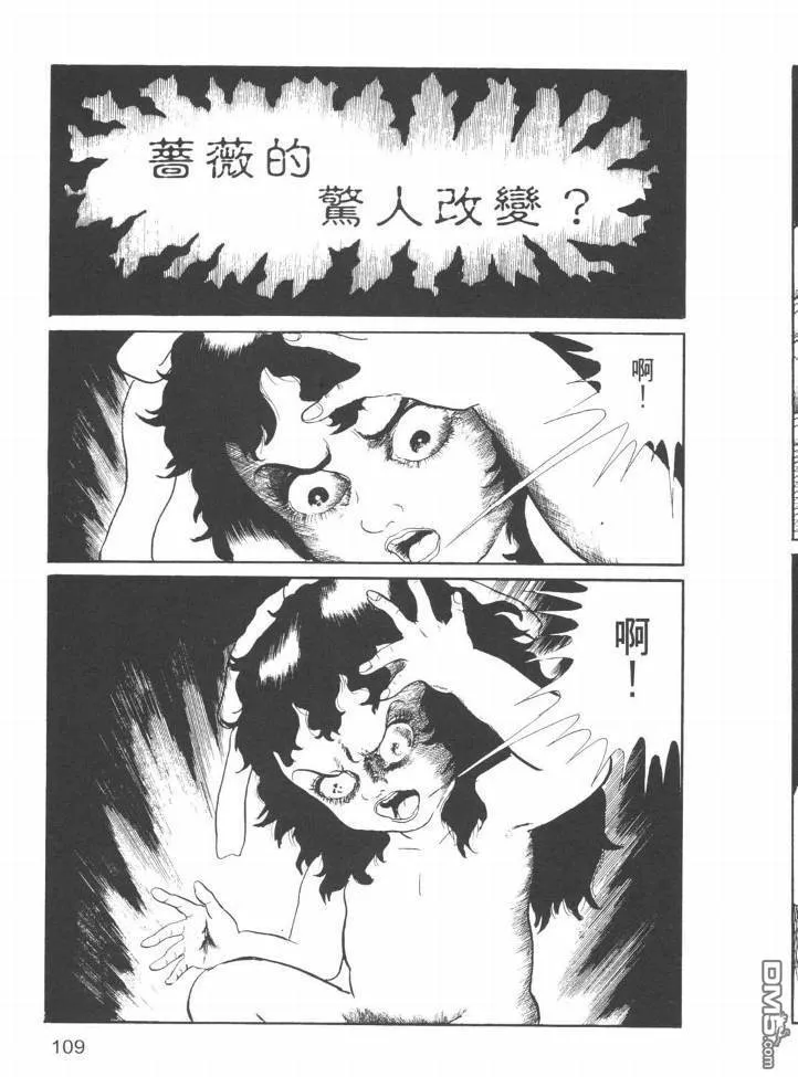 第23卷 第106页