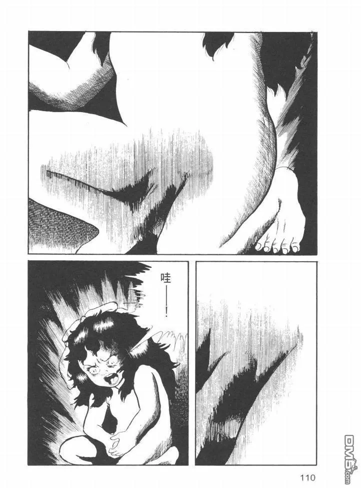 第23卷 第107页