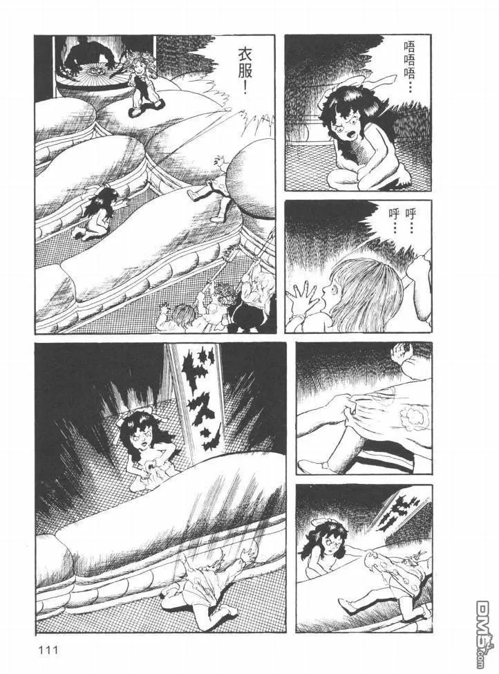 第23卷 第108页