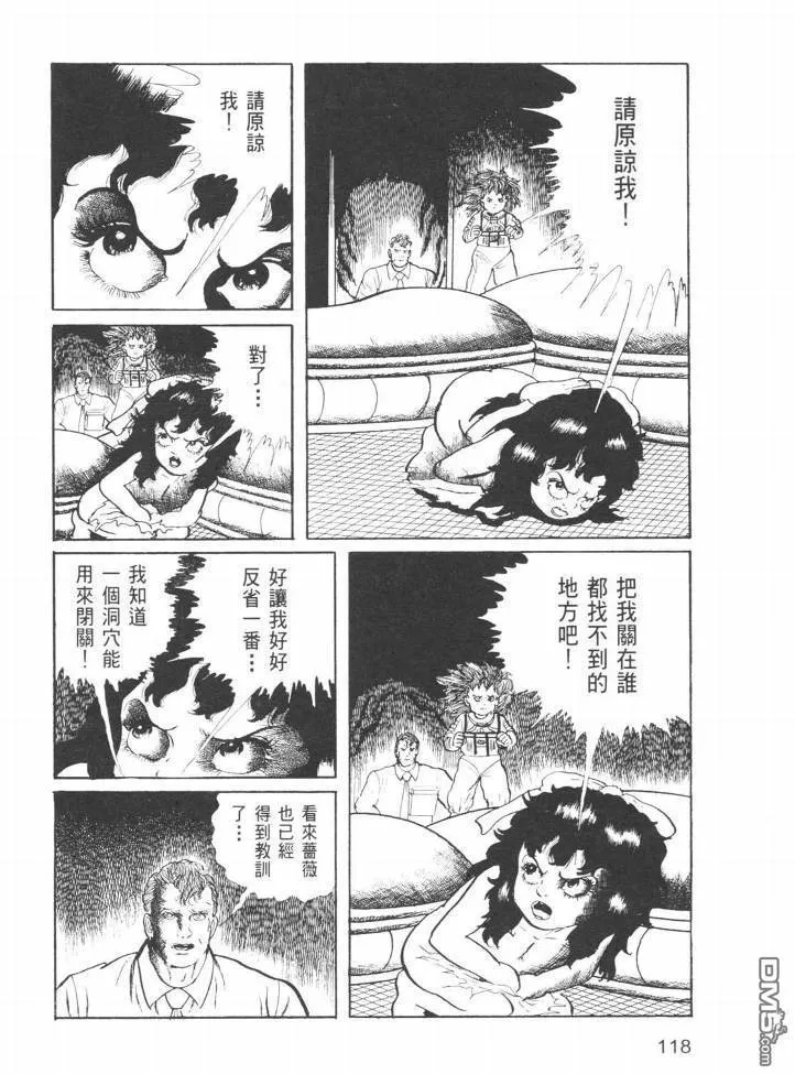 第23卷 第115页