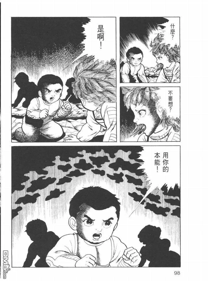 第24卷 第95页