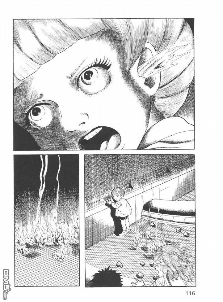第24卷 第113页