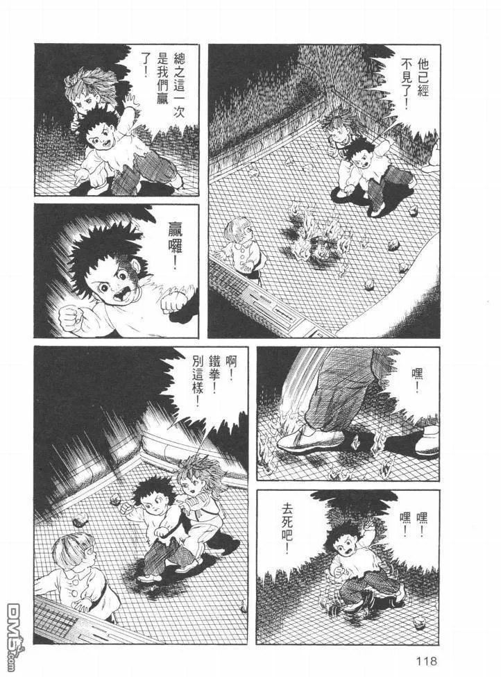 第24卷 第115页