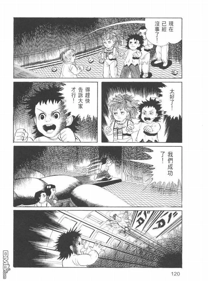 第24卷 第117页