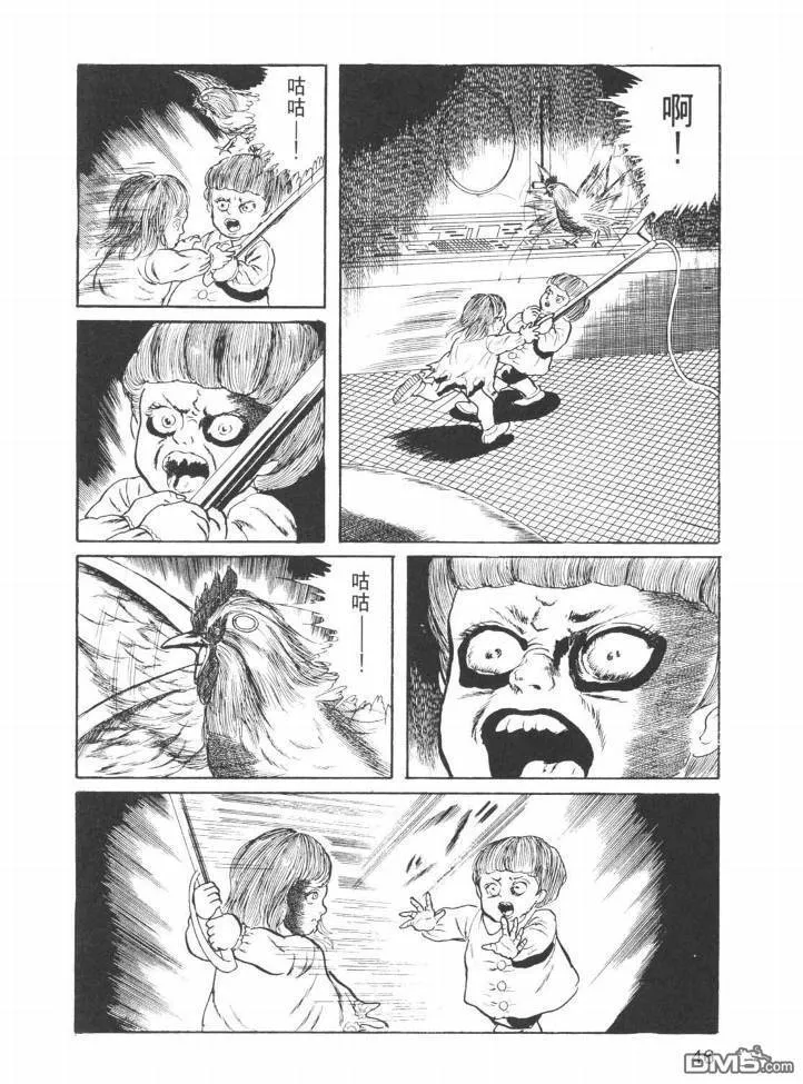 第25卷 第43页