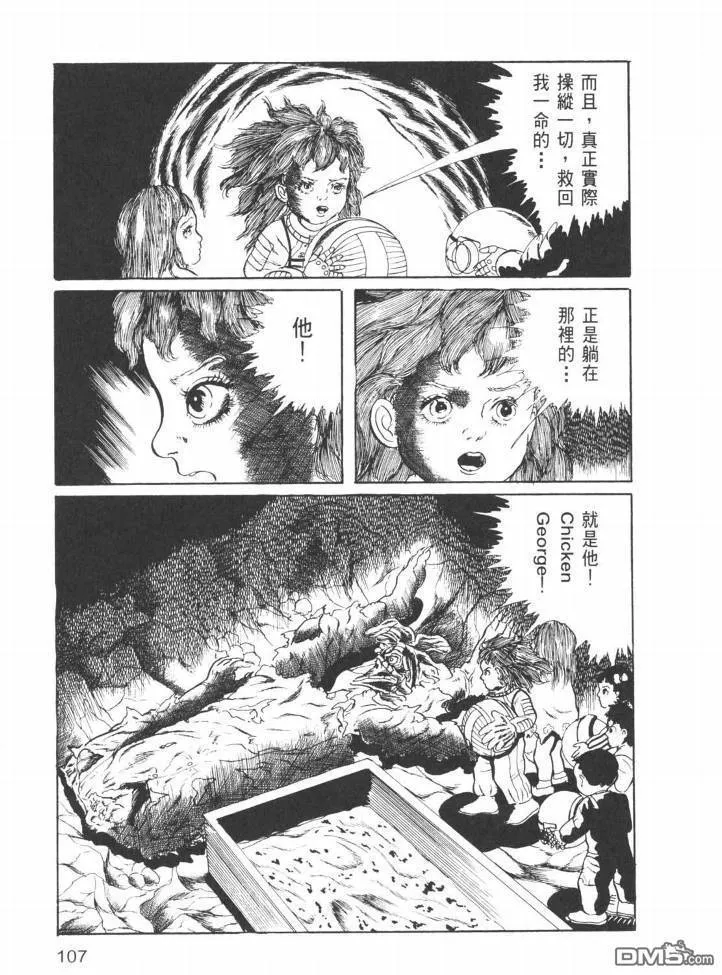 第25卷 第104页