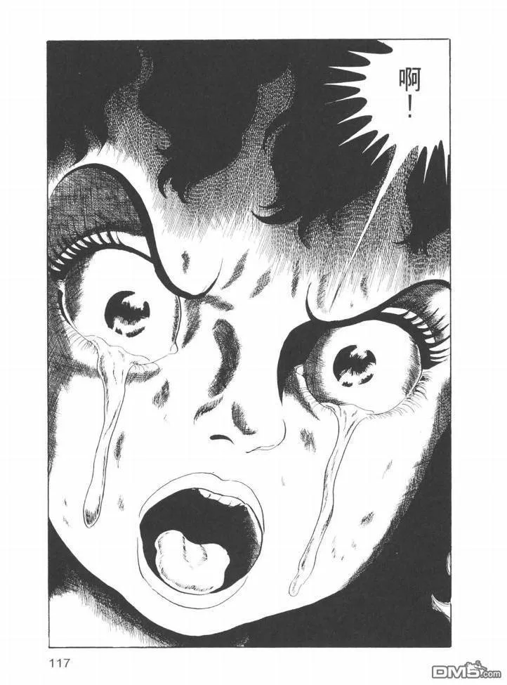 第25卷 第114页