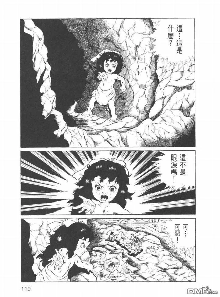 第25卷 第116页