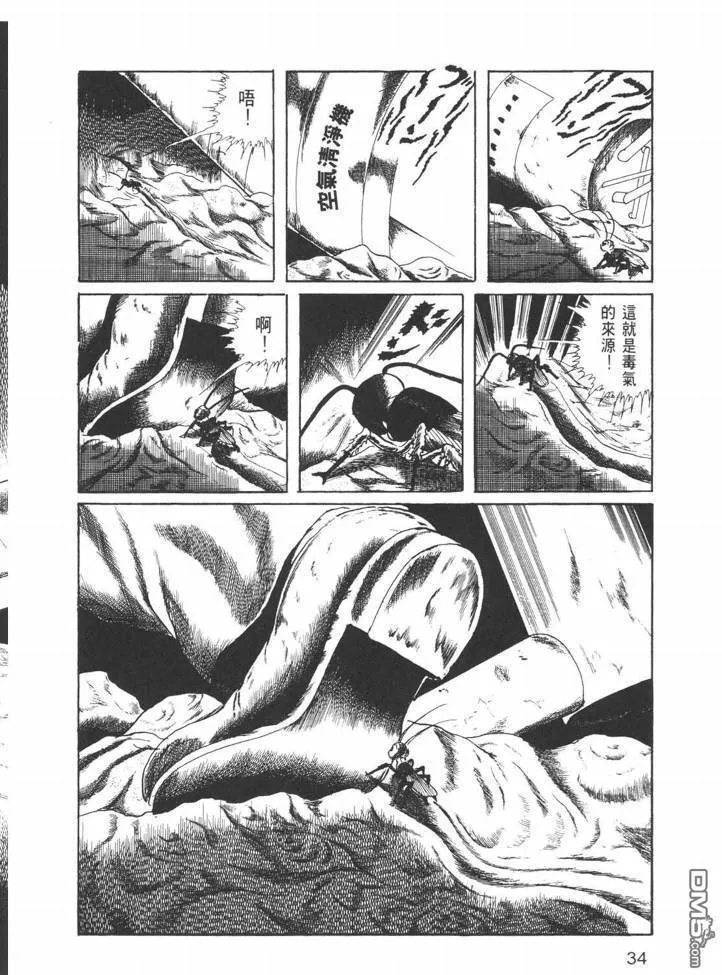 第26卷 第31页