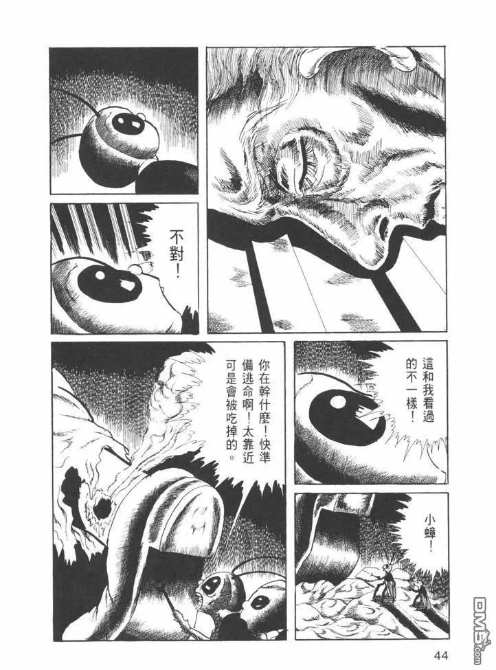 第26卷 第41页