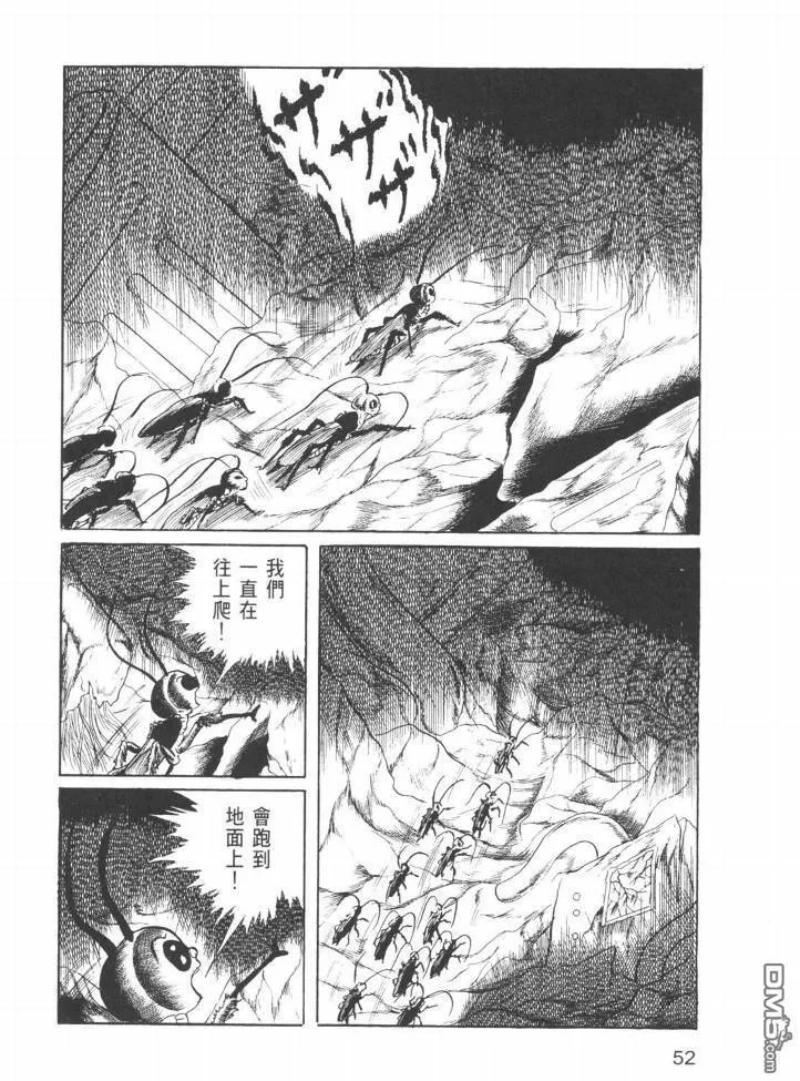第26卷 第49页