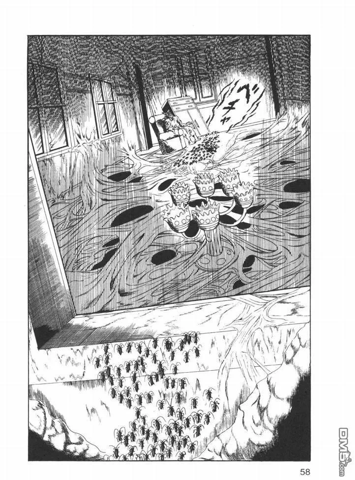 第26卷 第55页