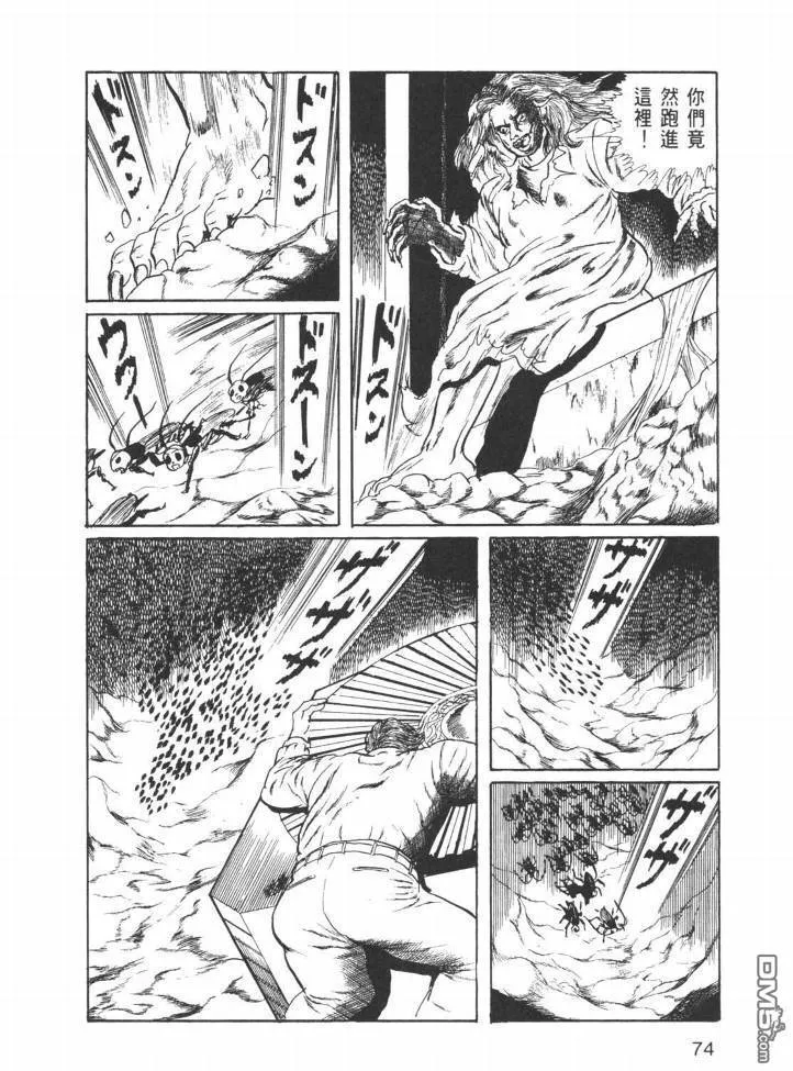第26卷 第71页