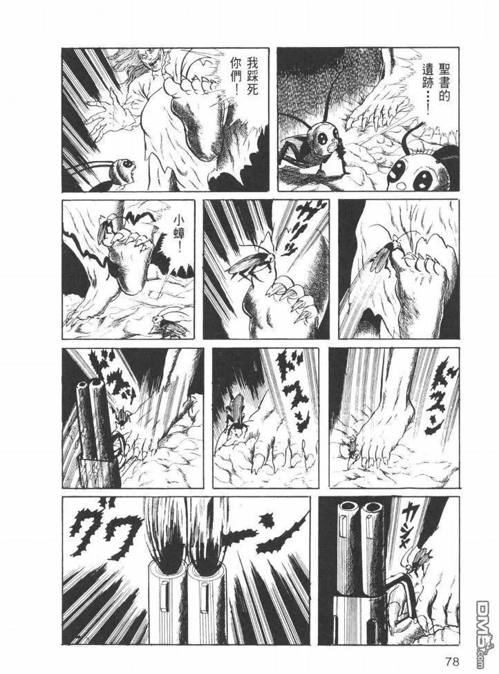 第26卷 第75页
