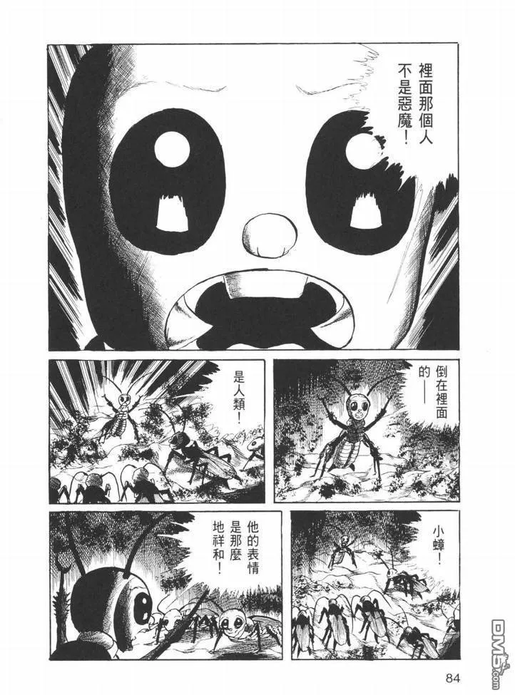 第26卷 第81页