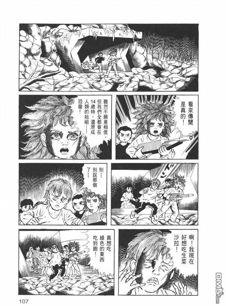 第26卷 第104页