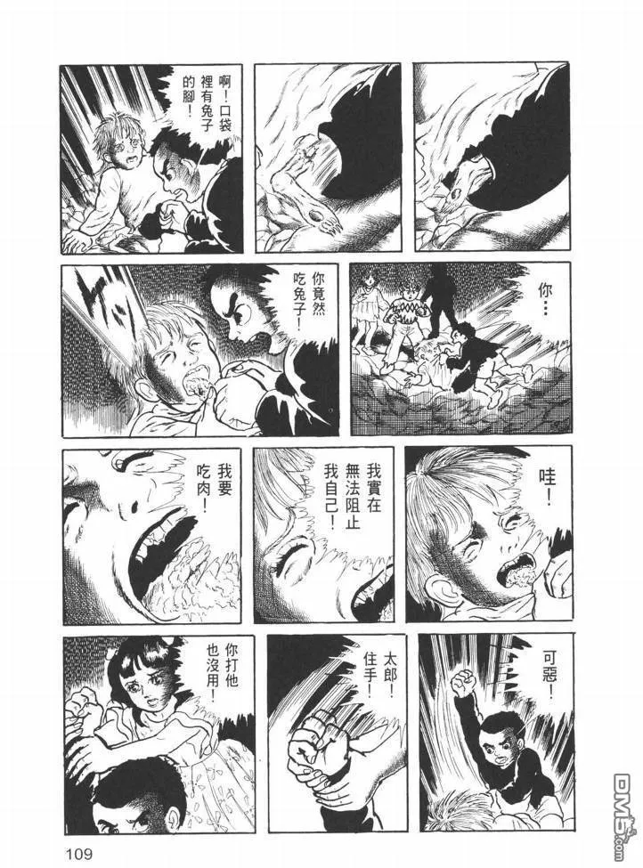 第26卷 第106页
