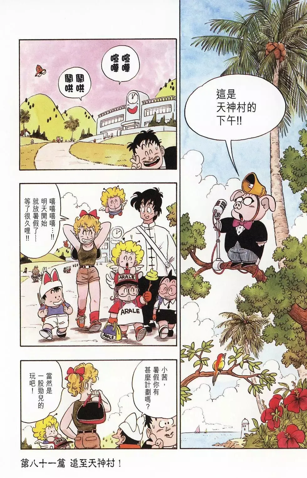 第06卷 第96页