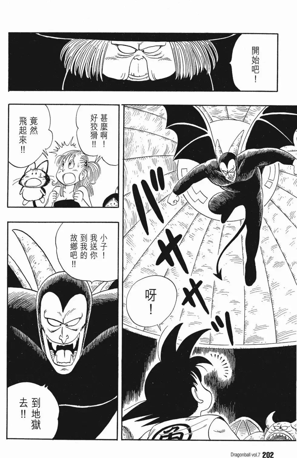 第07卷 第207页