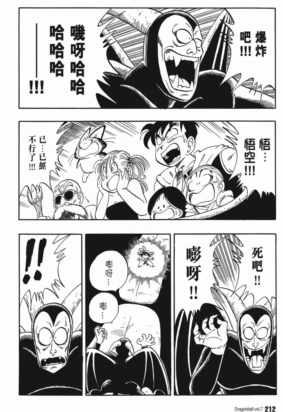 第07卷 第217页