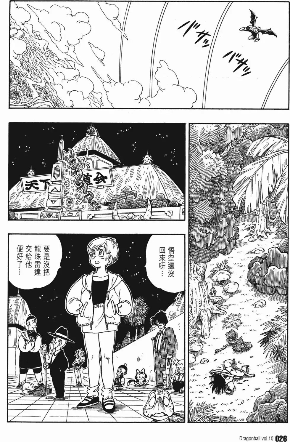 第10卷 第31页