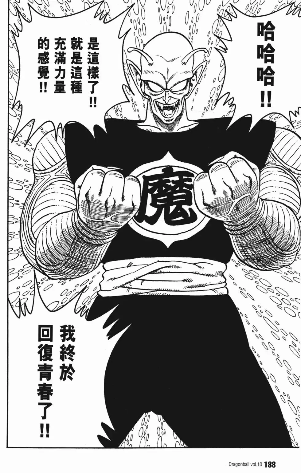 第10卷 第193页