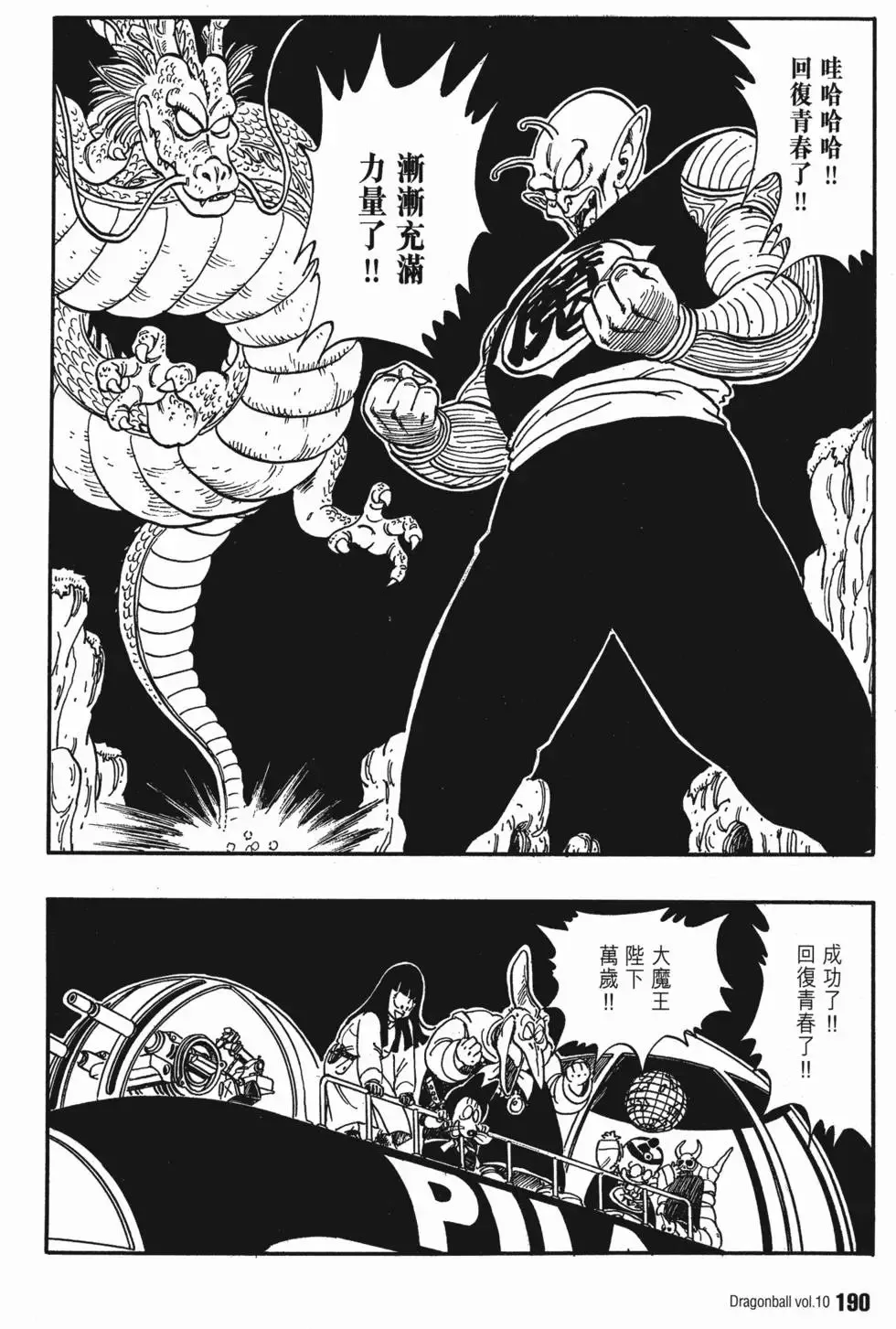 第10卷 第195页