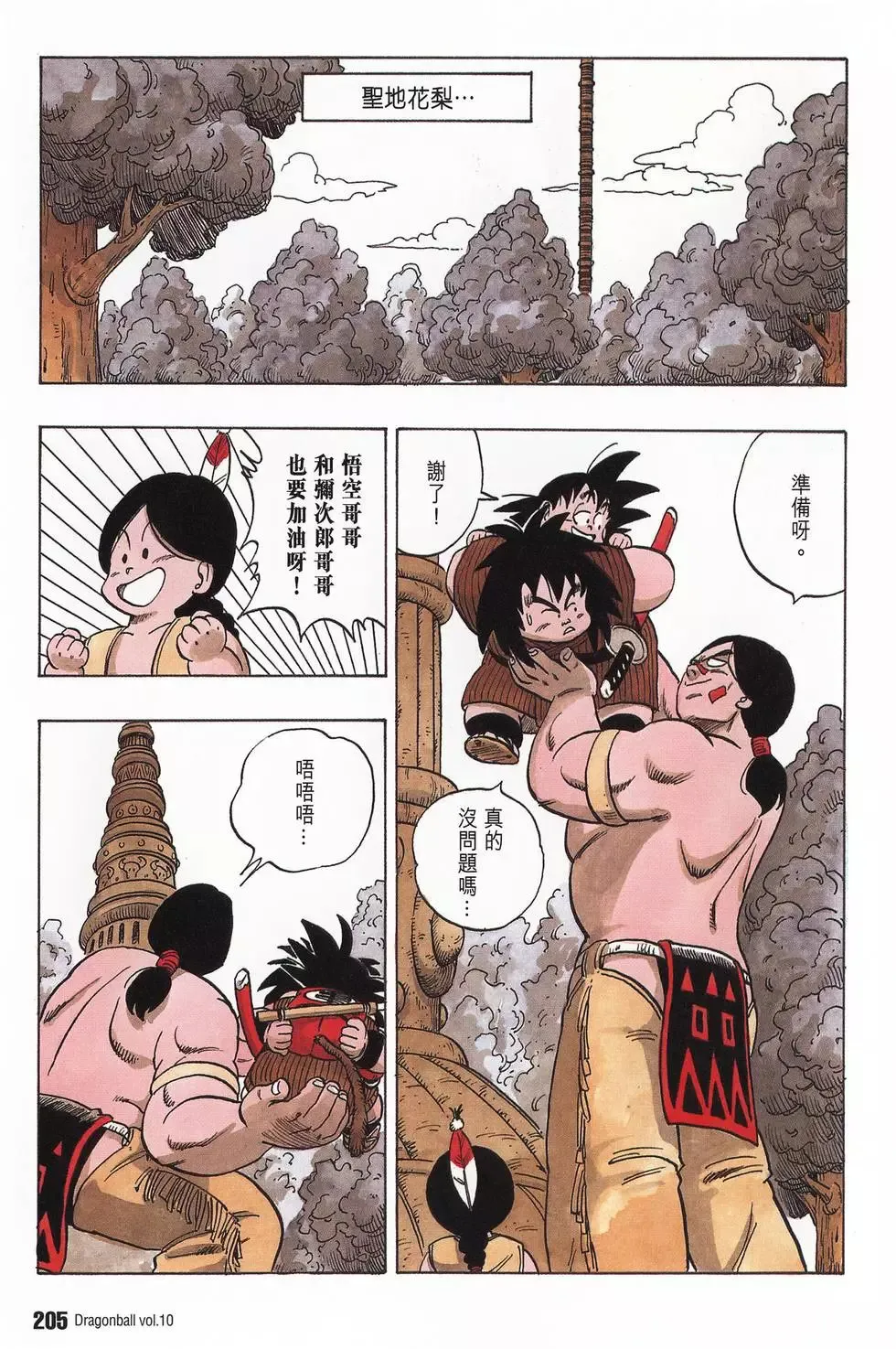 第10卷 第210页
