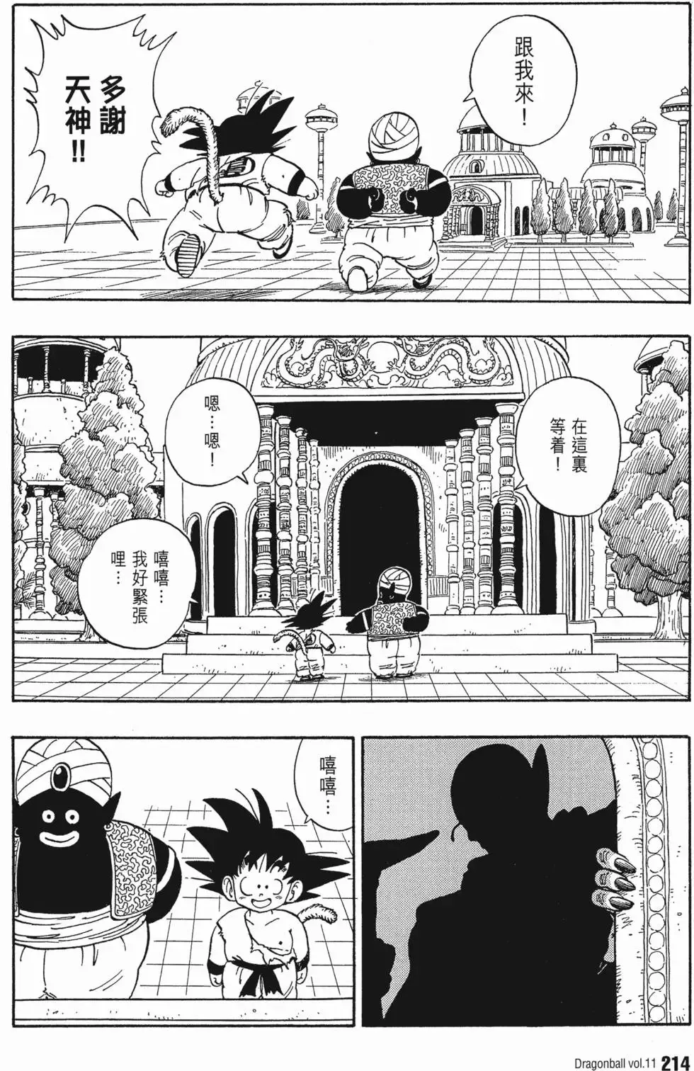 第11卷 第223页
