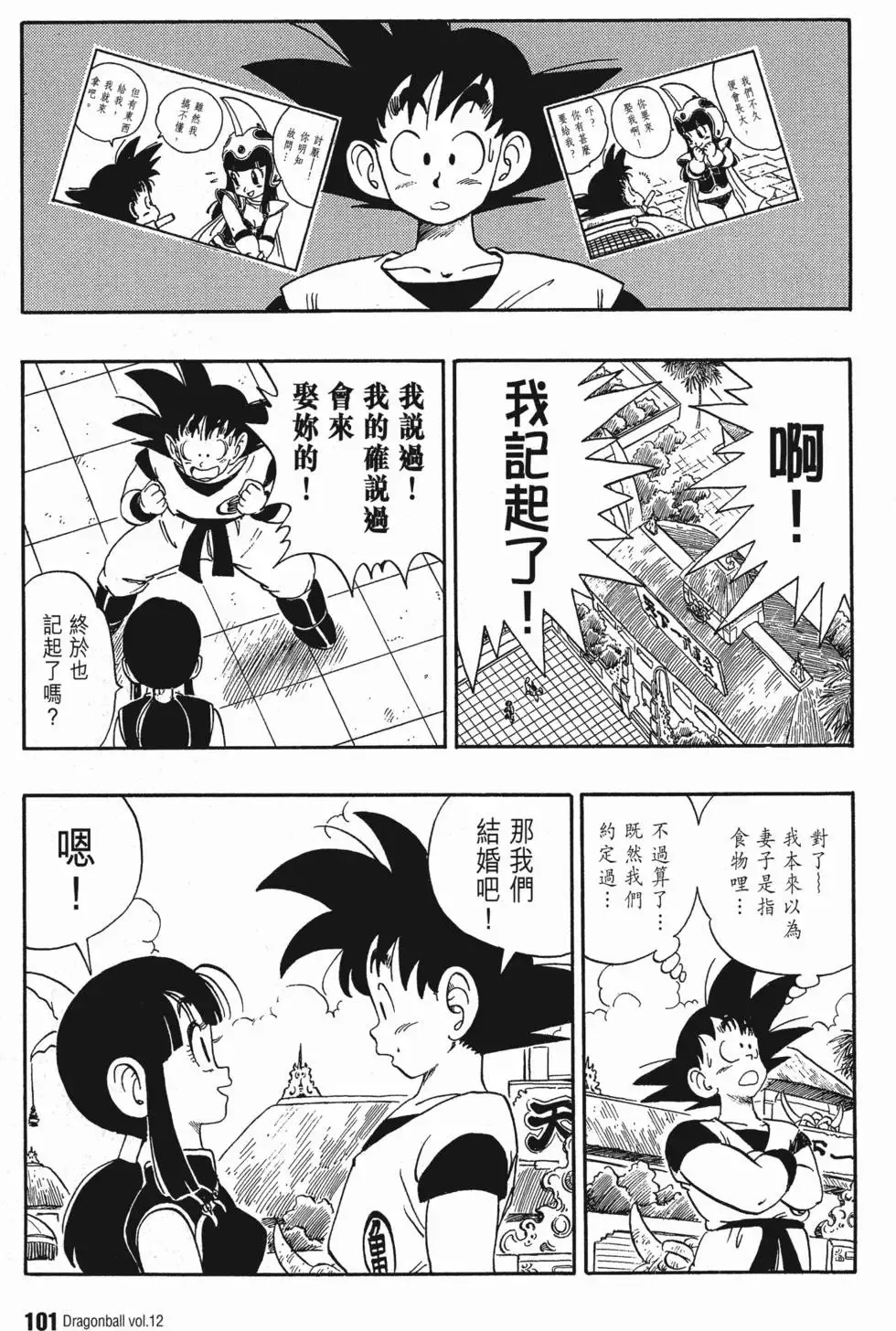 第12卷 第106页