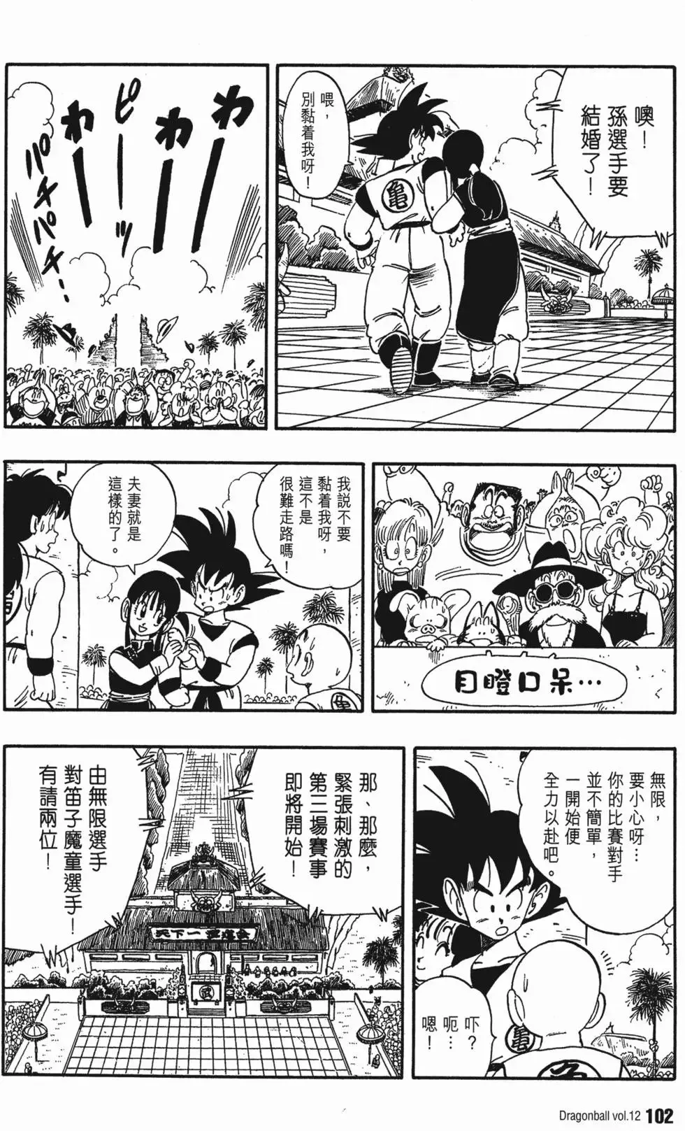 第12卷 第107页