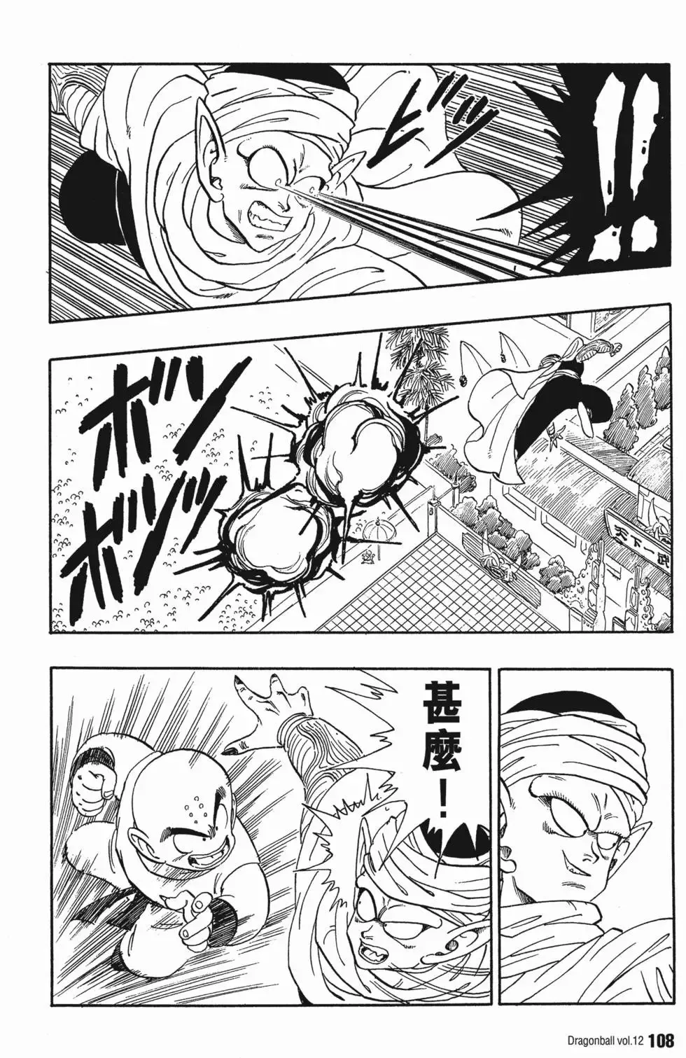 第12卷 第113页