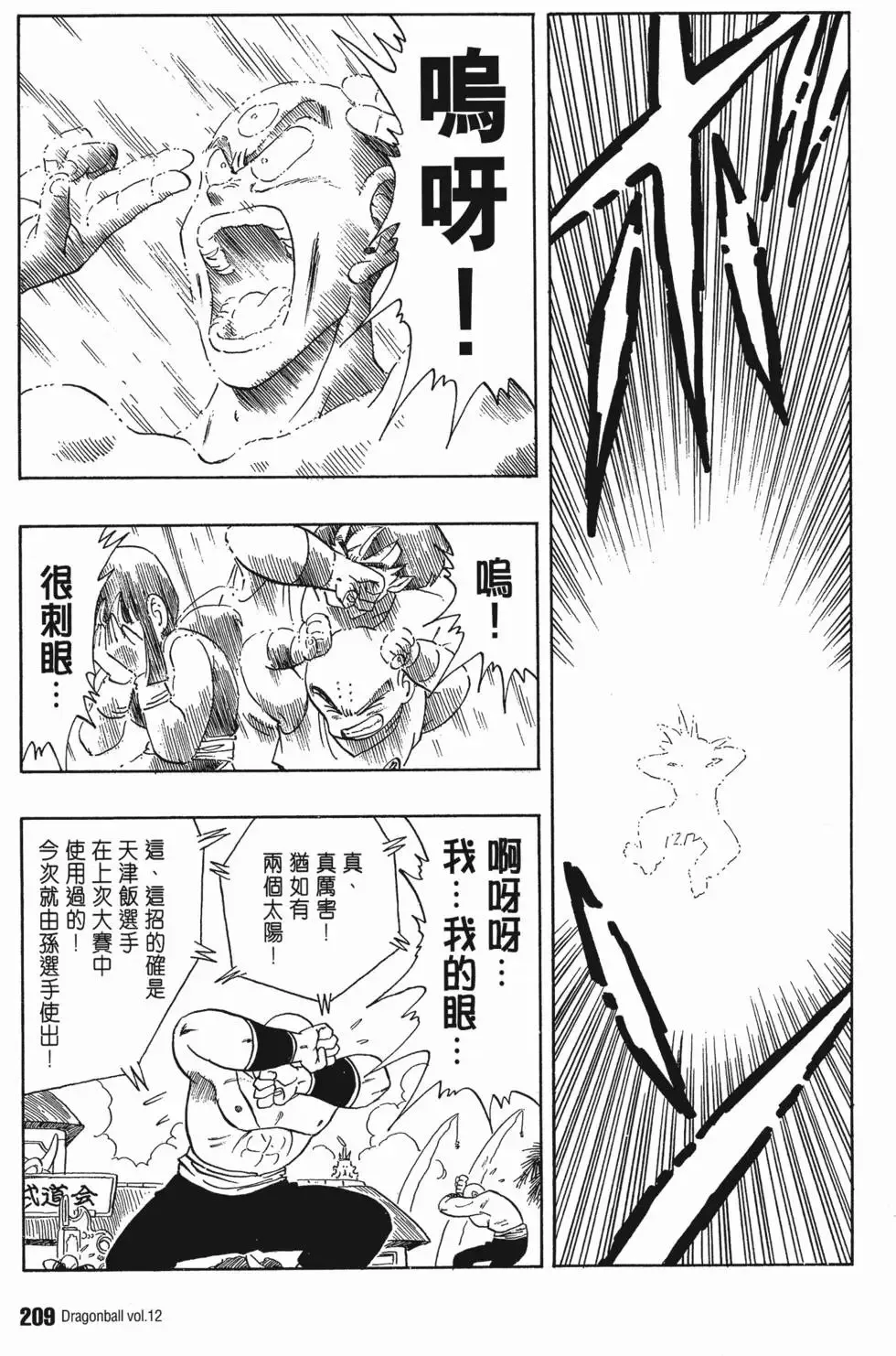 第12卷 第216页