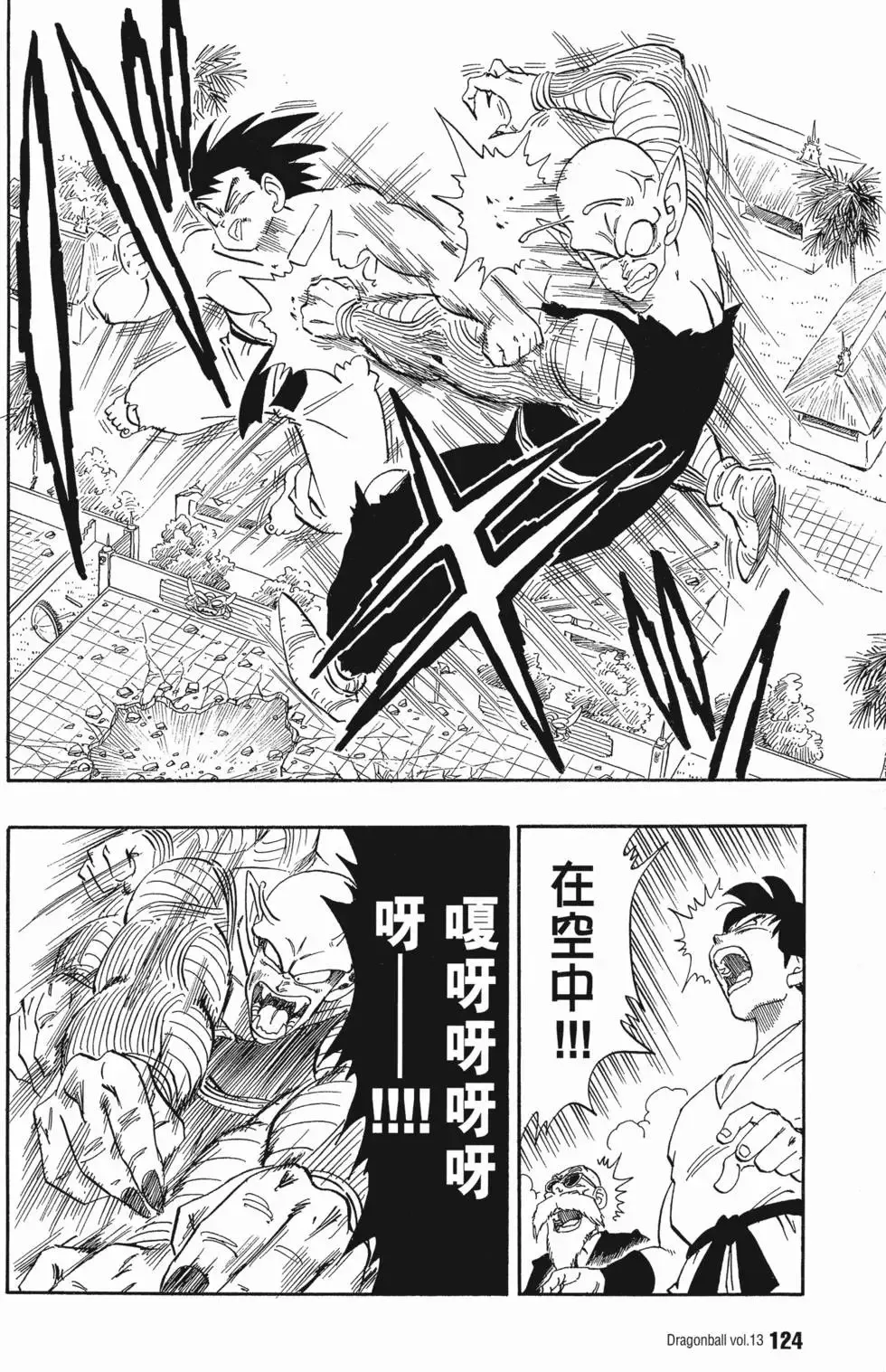 第13卷 第131页