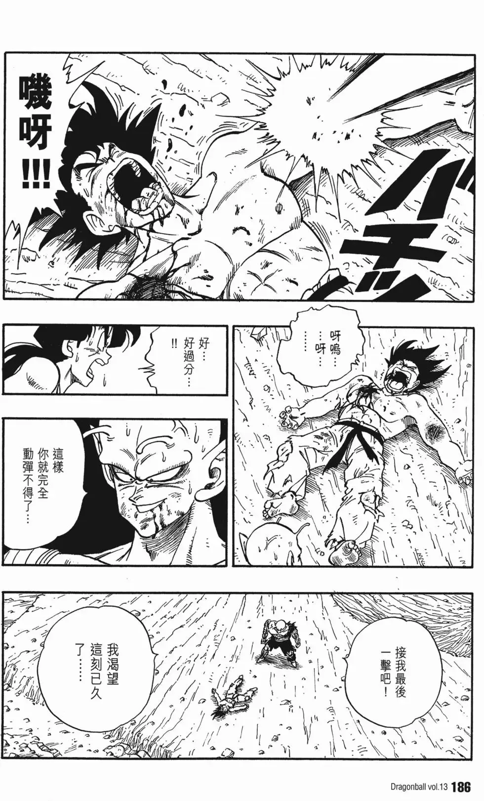 第13卷 第193页