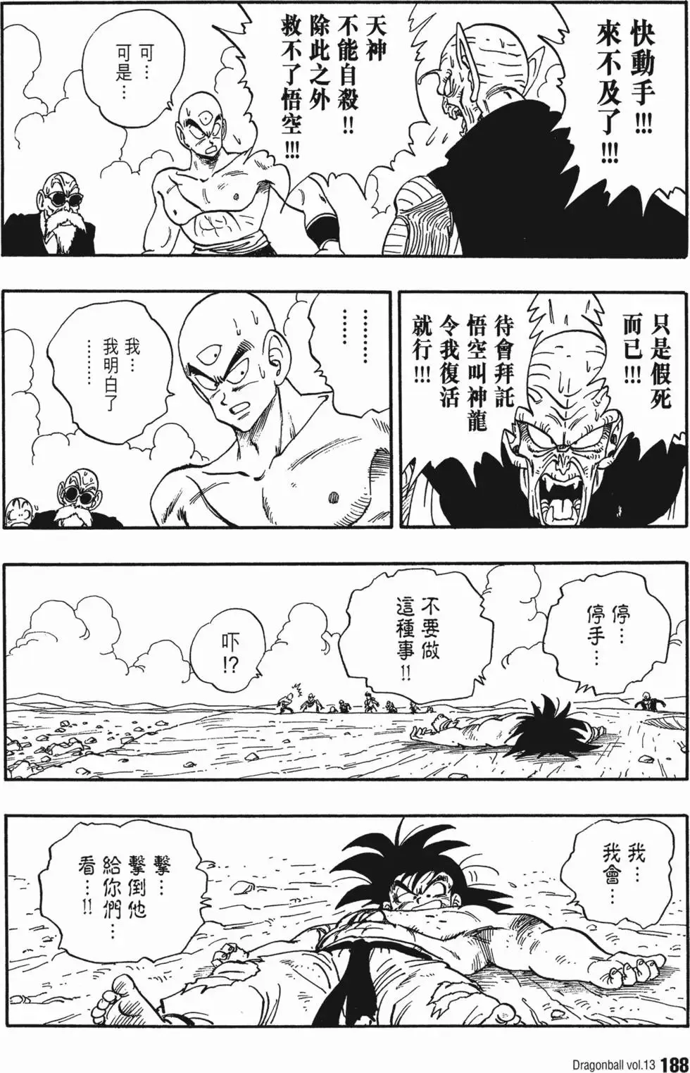 第13卷 第195页